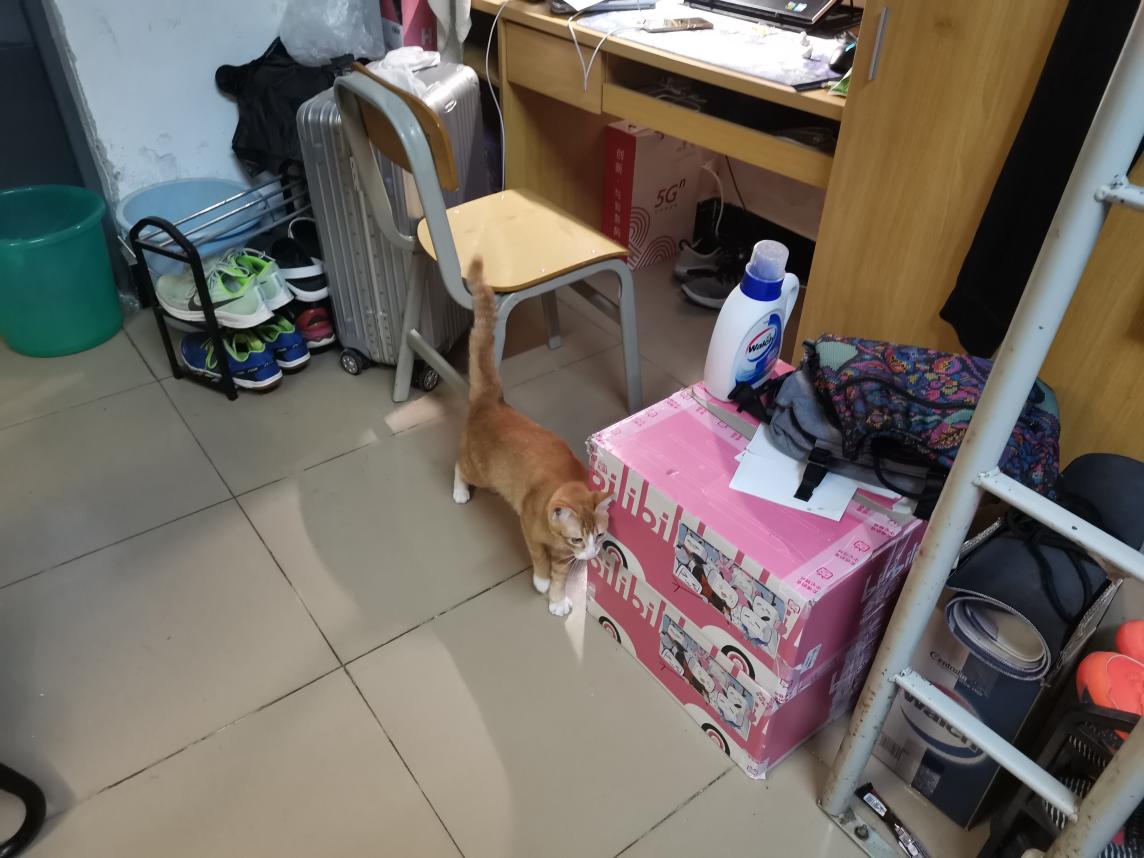 1151621781016_.pic_hd