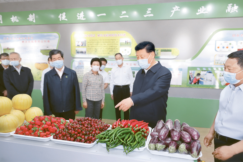 2020年6月8日至10日,中共中央总书记、国家主席、中央军委主席习近平在宁夏考察。这是6月9日下午,习近平在银川市贺兰县稻渔空间乡村生态观光园,了解宁夏现代农业发展和特色农产品情况。 新华社记者 鞠鹏/摄